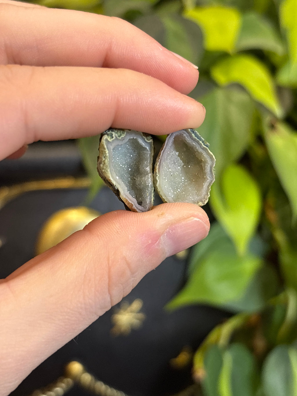 Tabasco Geode Pairs