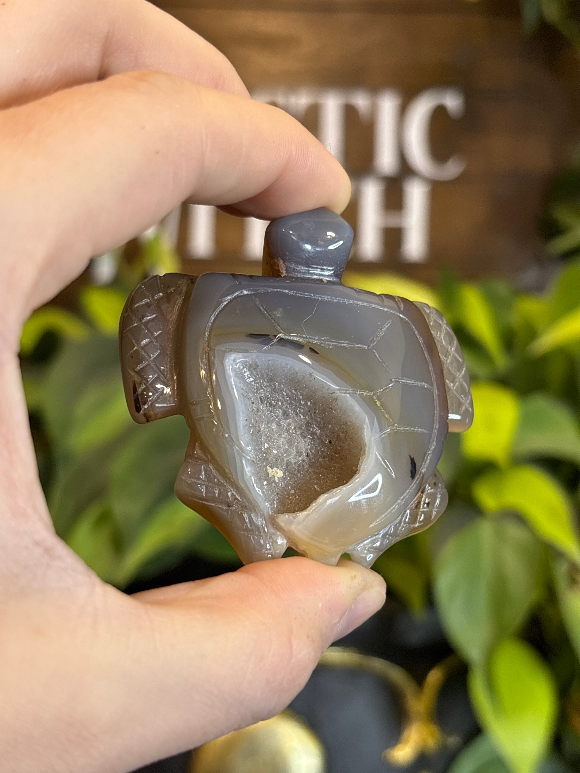 Druzy Agate Turtle