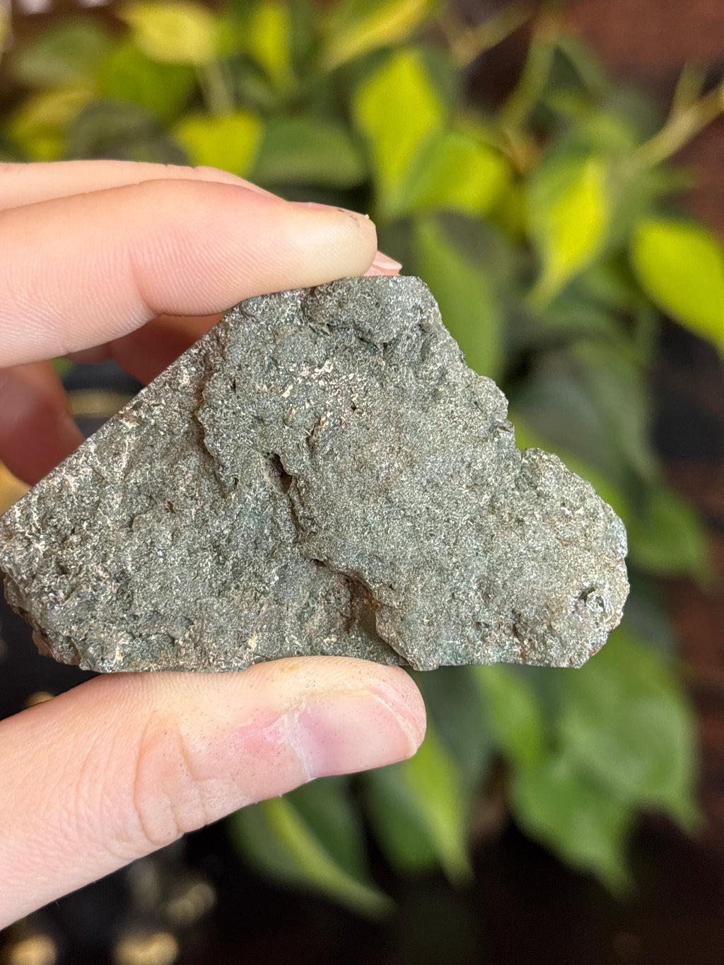 Rutile Garden Quartz Freeform (Half Raw/Half/Polished)