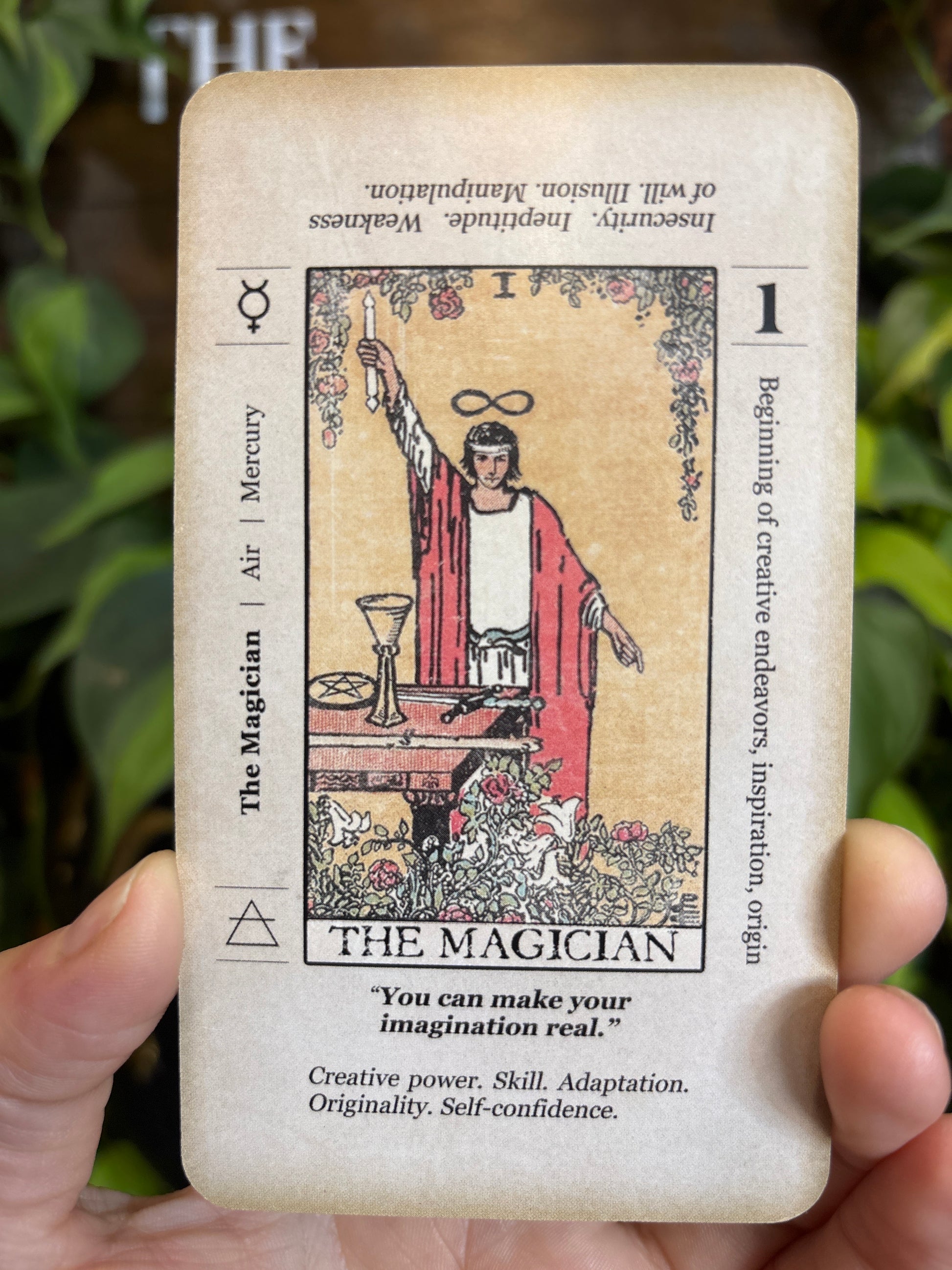 Beginner Tarot Cards (No Book Needed)