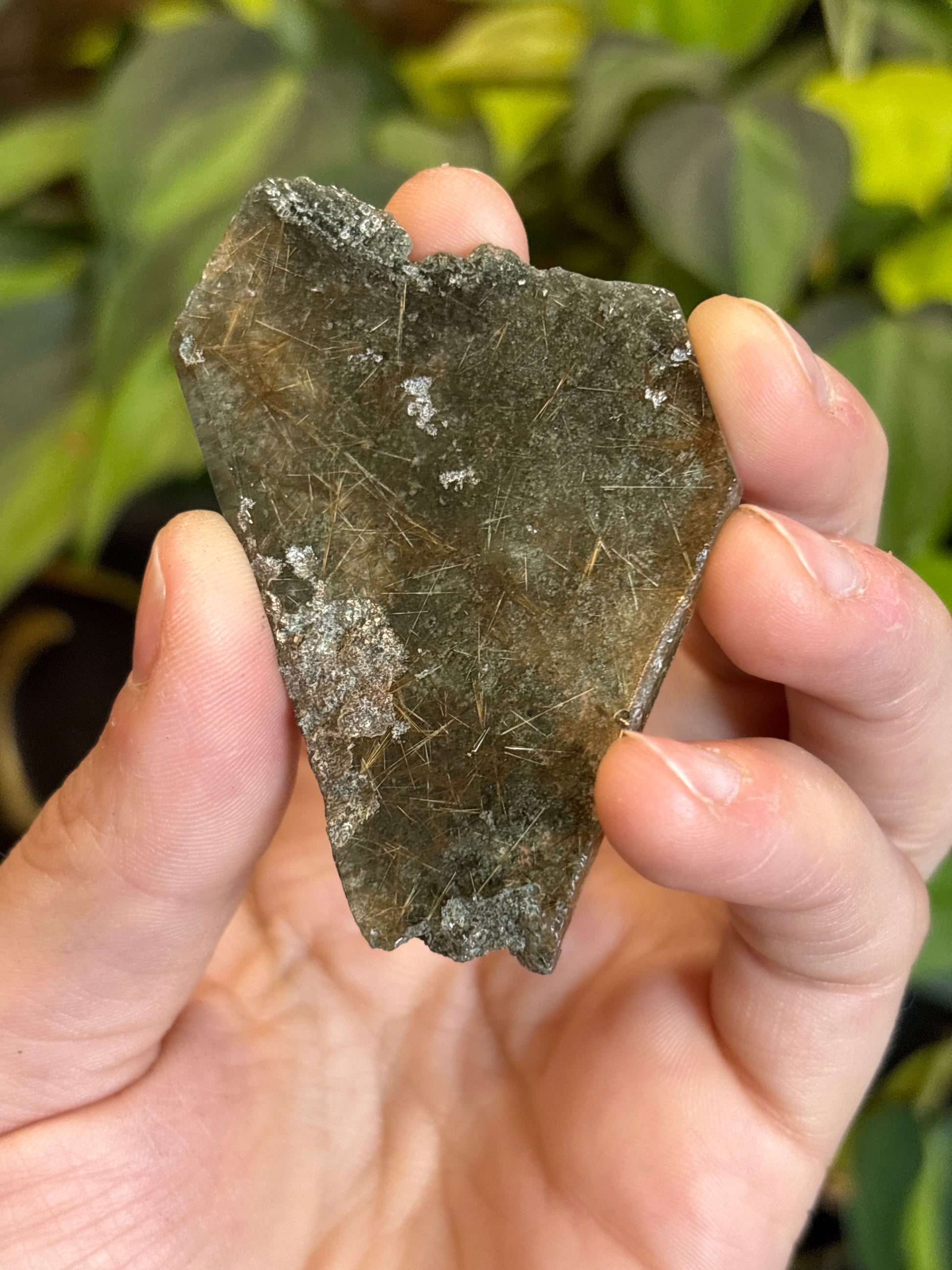Rutile Garden Quartz Freeform (Half Raw/Half/Polished)