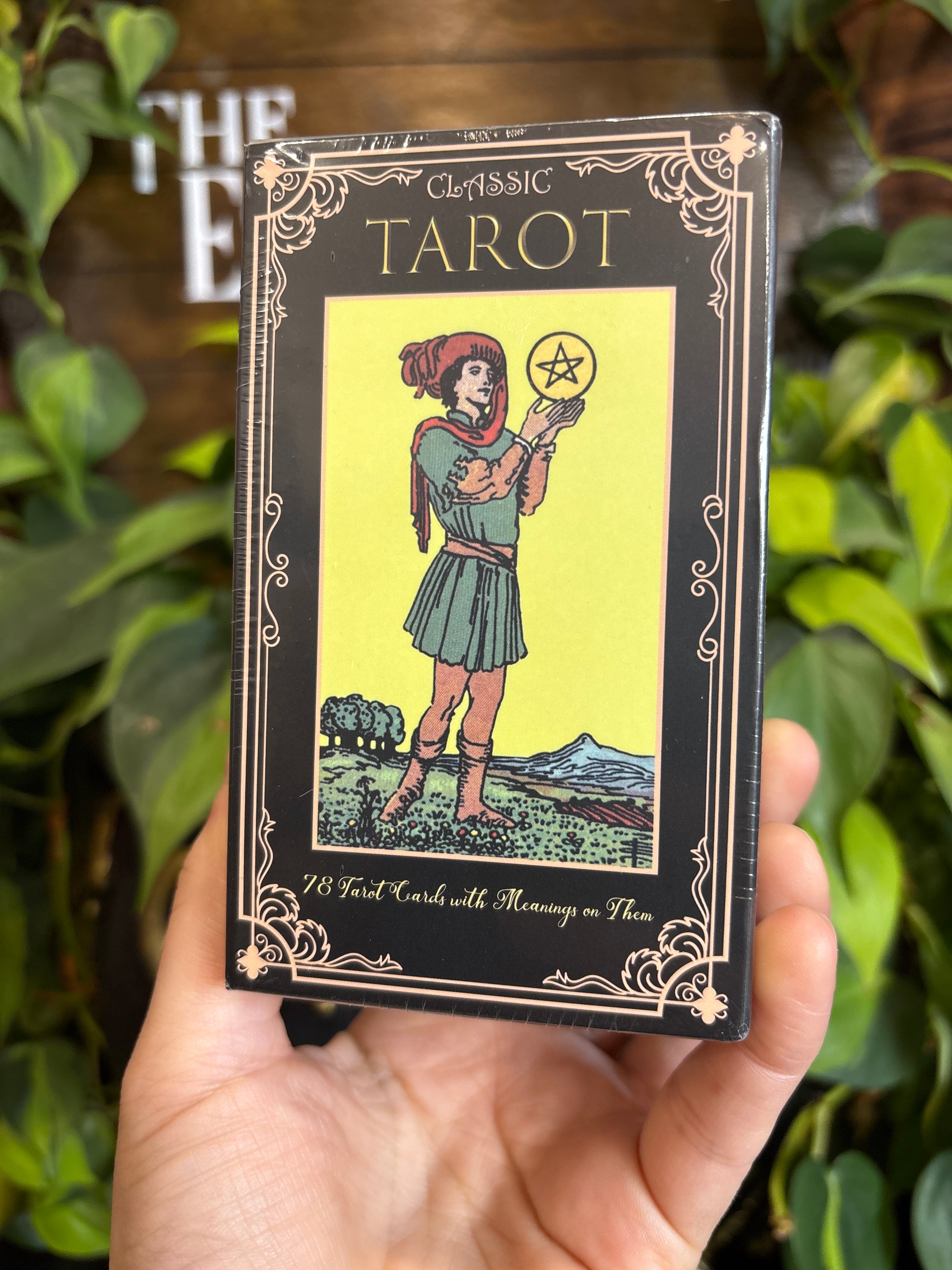 Beginner Tarot Cards (No Book Needed)