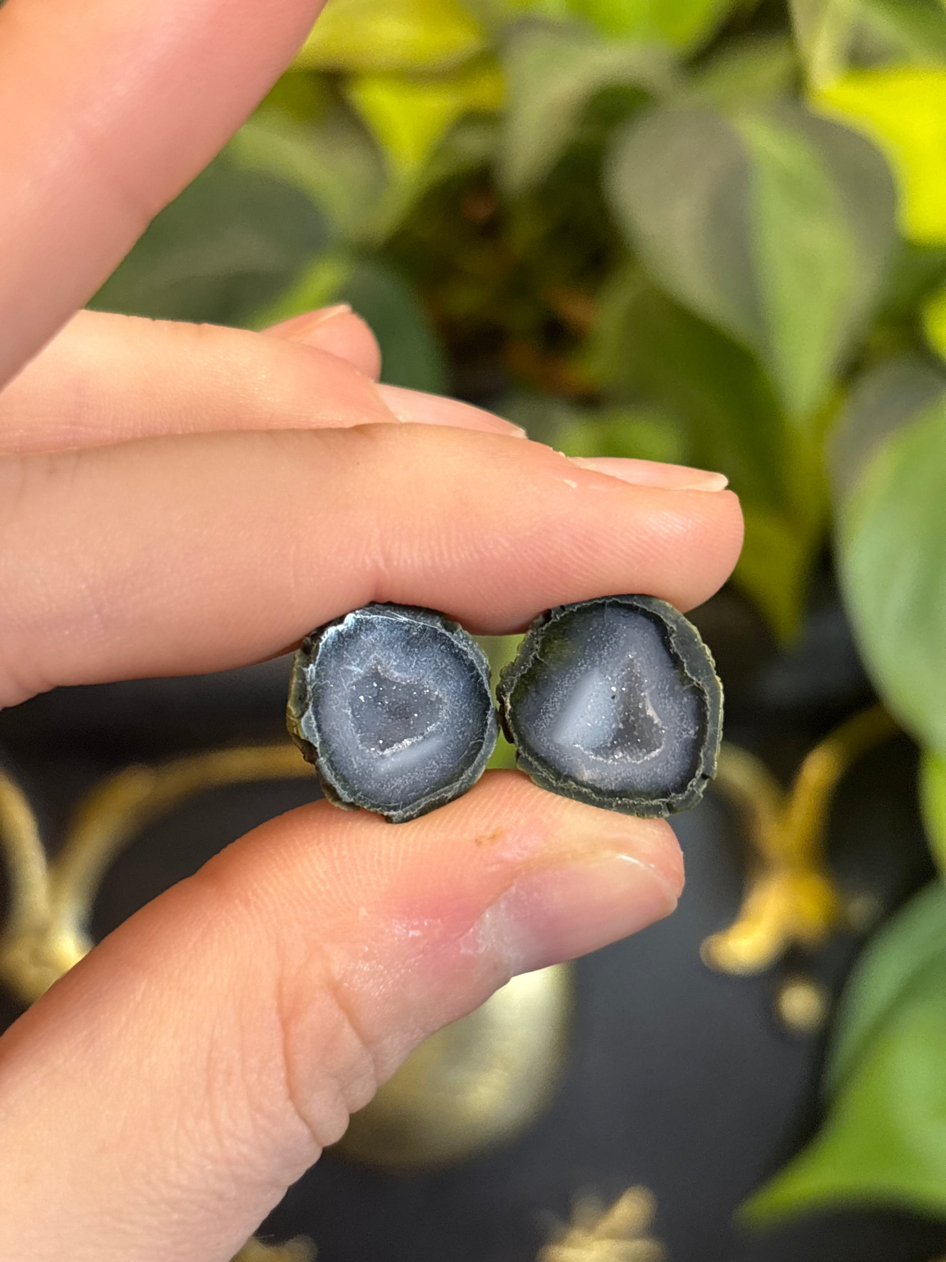 Tabasco Geode Pairs