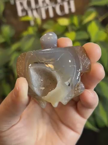 Druzy Agate Turtle