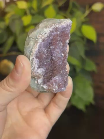 Amethyst Quartz Cluster